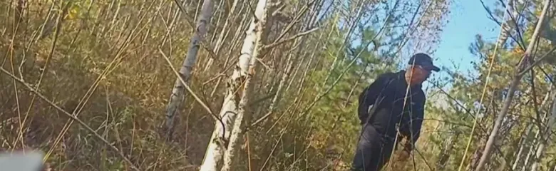 Кадр видео.