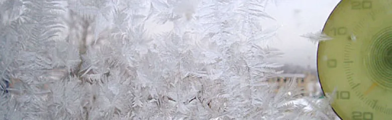 Фото Тимура Ясинского.